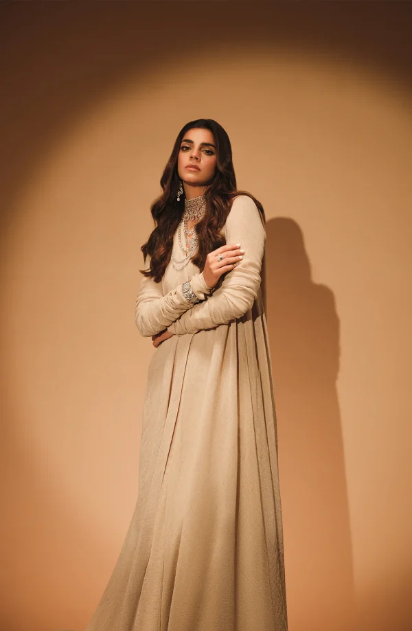 Uraan Beige Gown Layered over a Skirt and Bustier By HSY - Image 2