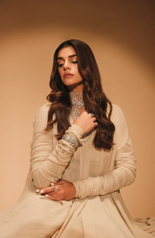 Uraan Beige Gown Layered over a Skirt and Bustier By HSY - Image 3