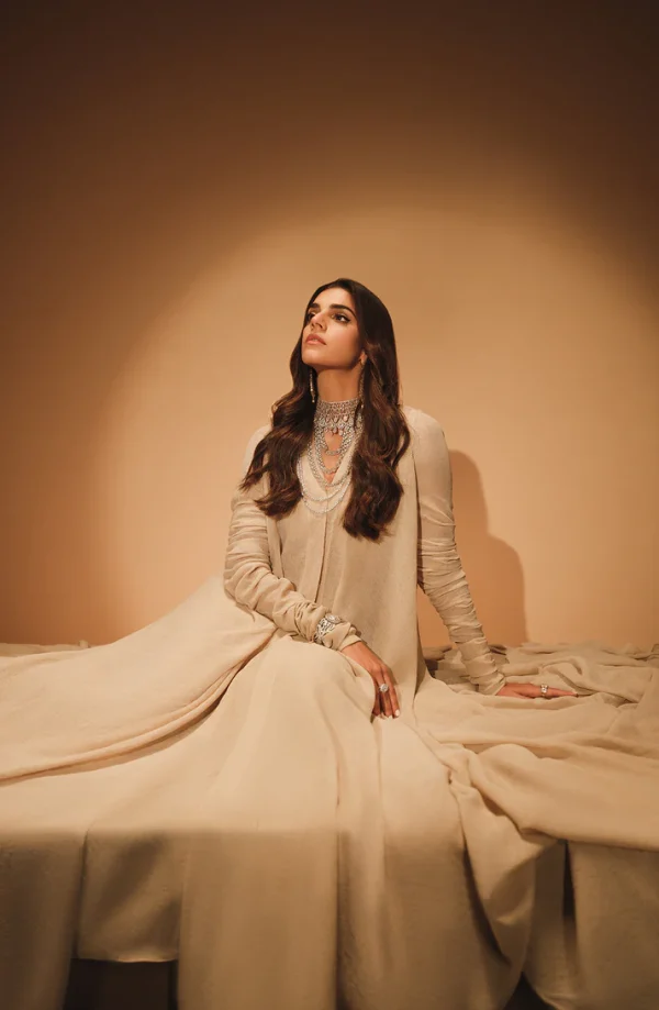 Uraan Beige Gown Layered over a Skirt and Bustier By HSY - Image 5