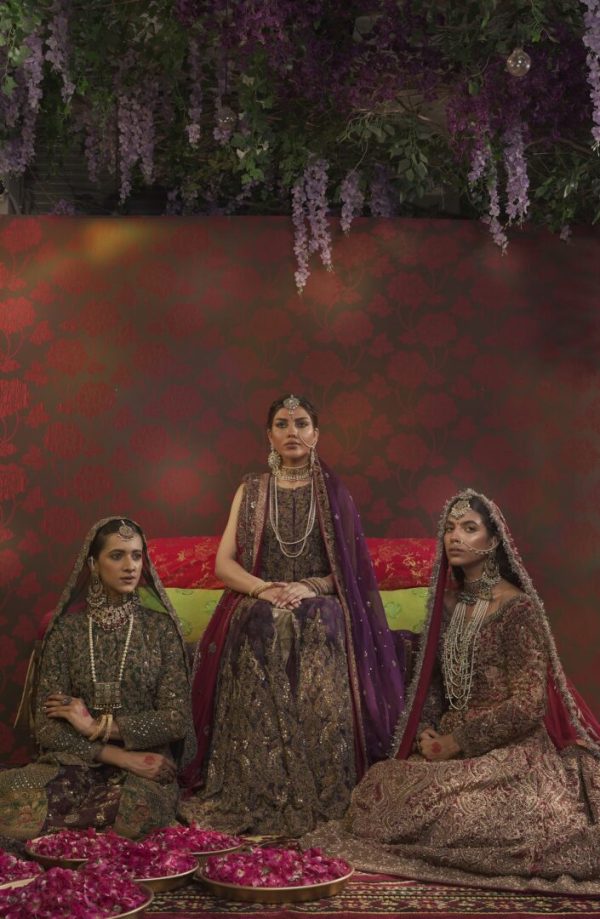 Bridal Hand Embroidered Organza Shirt with Raw Silk Trailing Sharara By HSY - Image 5