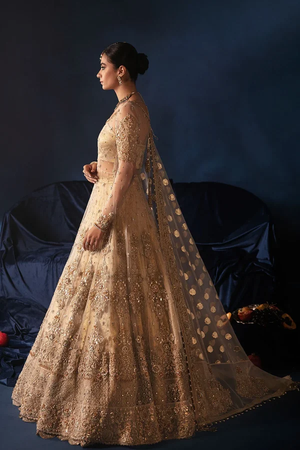 Nikkah Bridal Ivory (d-13) By Ammara Khan - Image 6