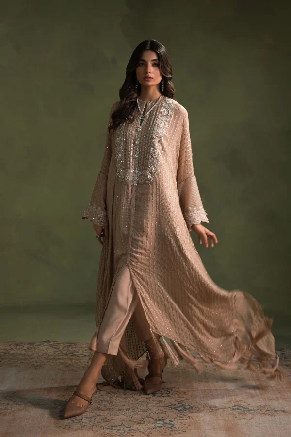 Statement Nude Glam Kaftan (d-08) By Ammara Khan - Image 5
