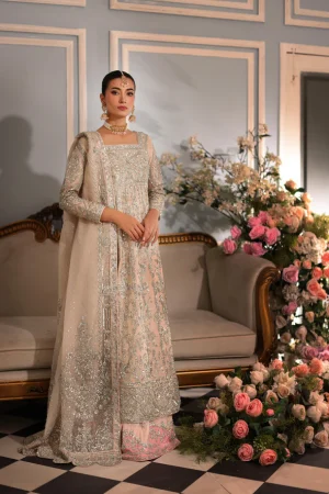 Dove Bridal by Agha Noor