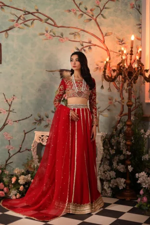 Anah by Agha Noor