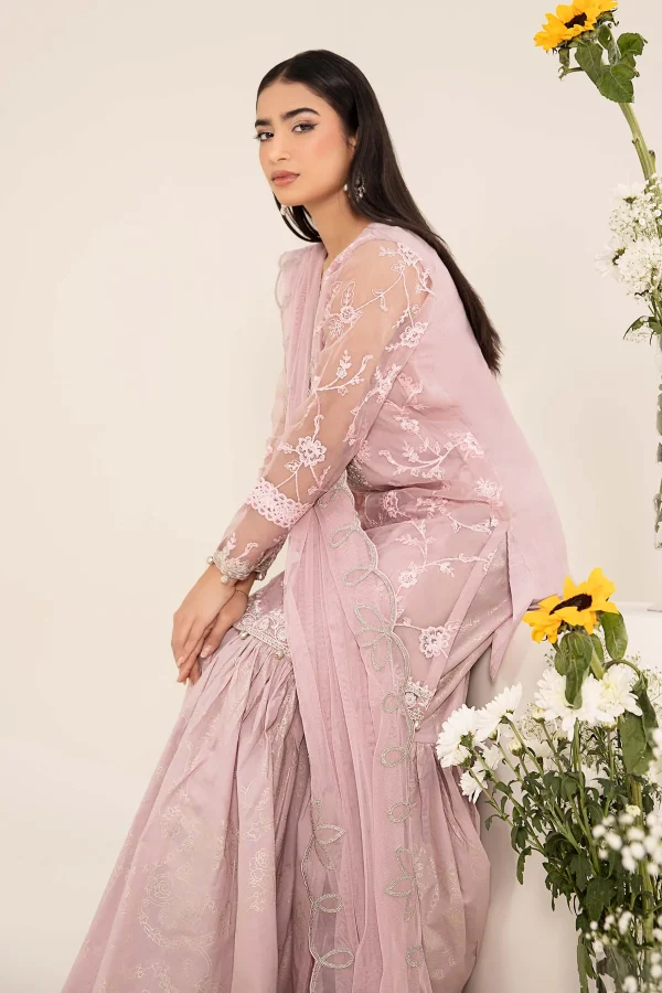 3 Piece Embroidered Cotton Silk Suit DW EF25 17 - Image 7
