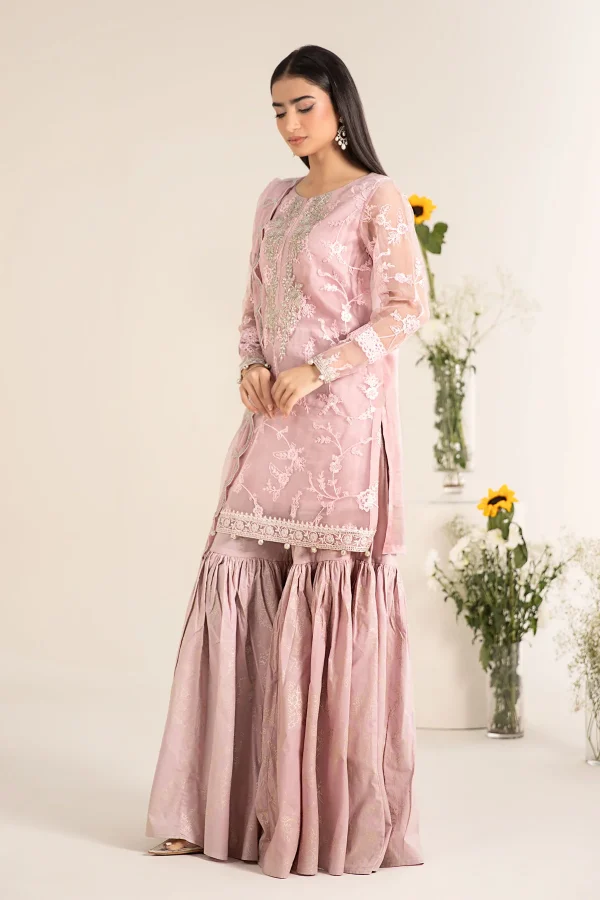 3 Piece Embroidered Cotton Silk Suit DW EF25 17 - Image 4
