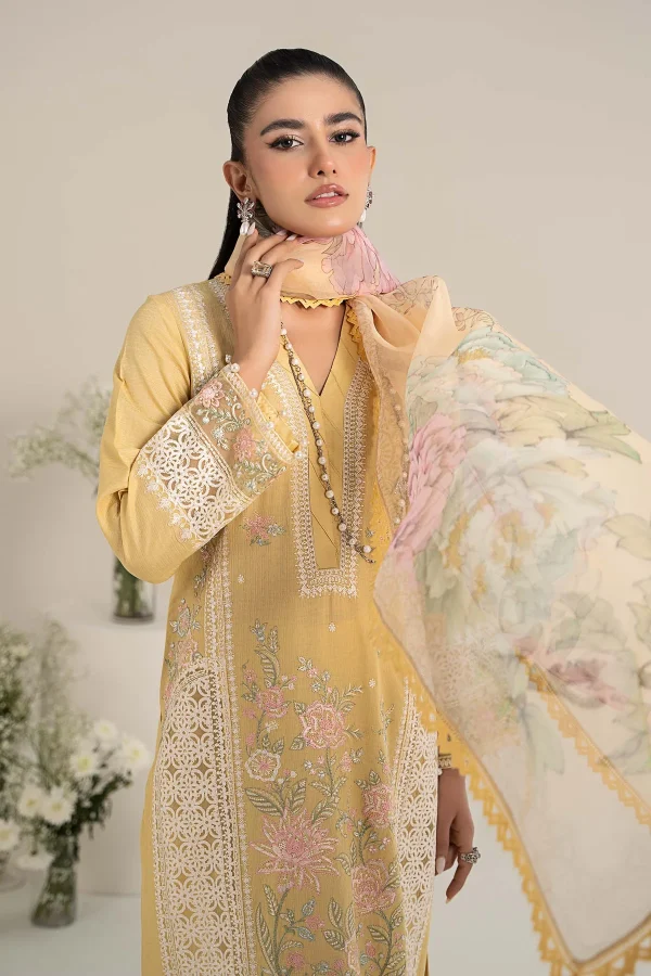 3 Piece Embroidered Dobby Lawn Suit  DW EF25 151 - Image 7